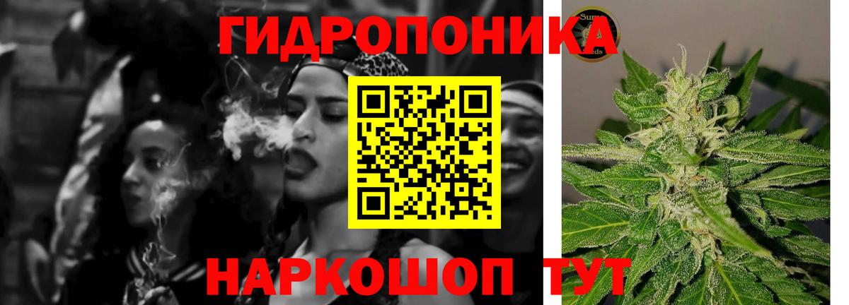 Канабис OG Kush  Бошки марихуана конопля  Архангельск  Бошки марихуана индика 